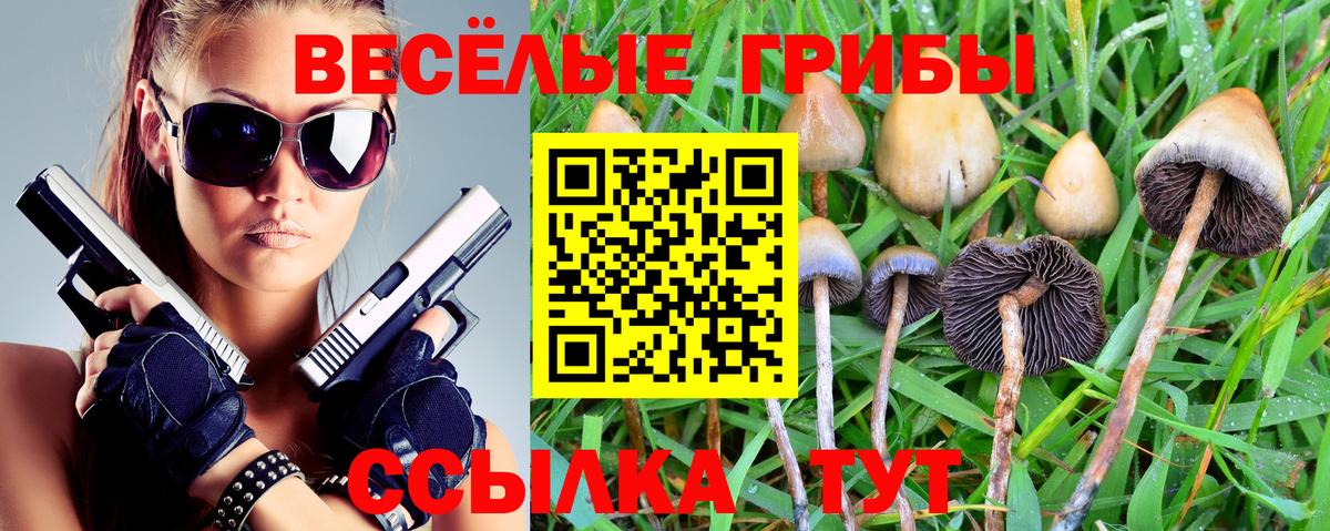 Псилоцибиновые грибы мицелий  Псилоцибиновые грибы Psilocybe  Печора  Вход с VPN 
