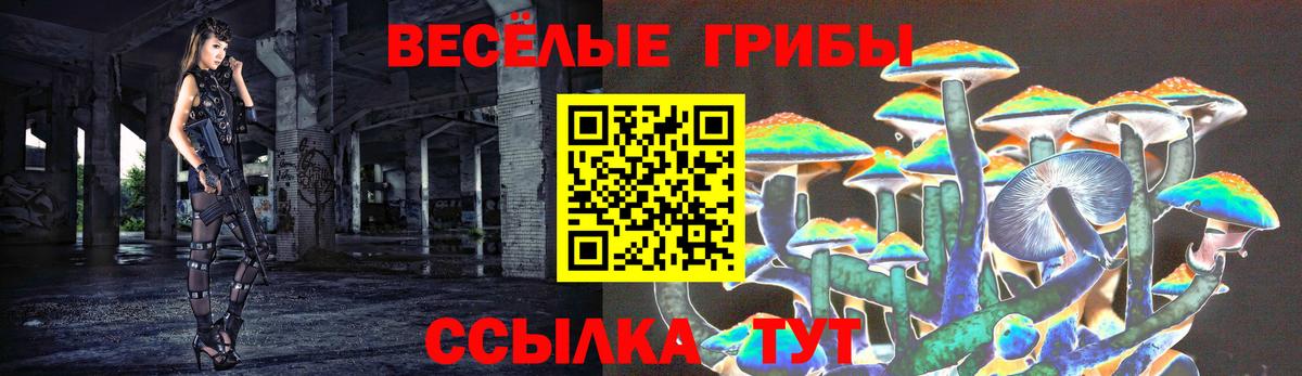 Галлюциногенные грибы Psilocybine cubensis Печора